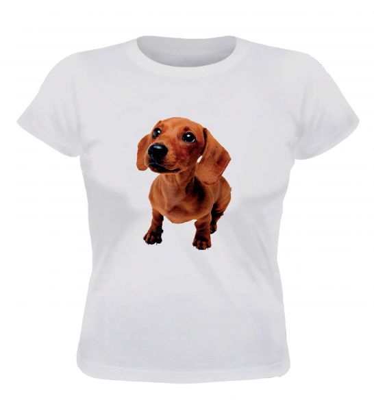 Camisa Estampa de Cachorro